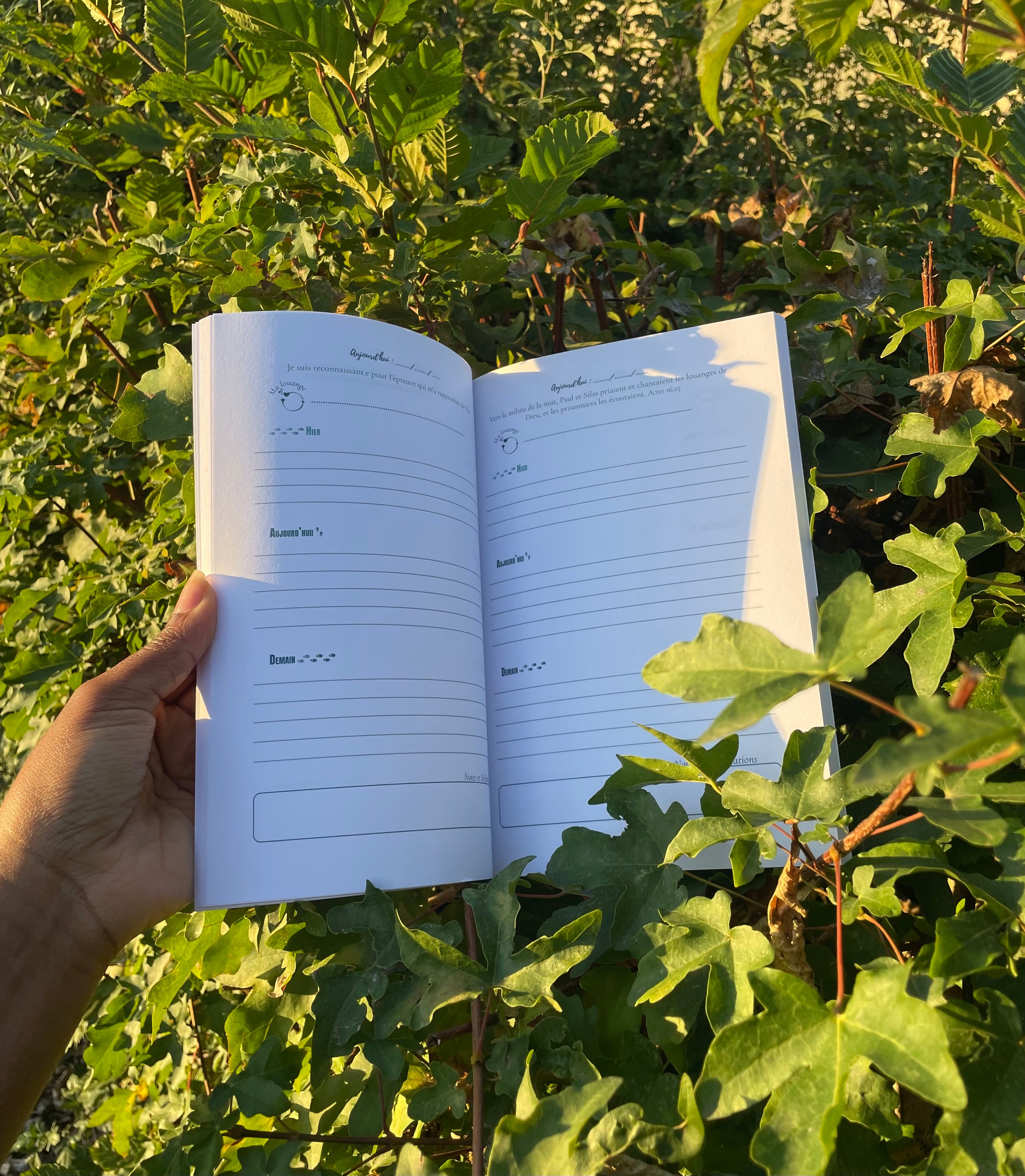 Hier, Aujourd’hui, Demain - Journal de Gratitude 2