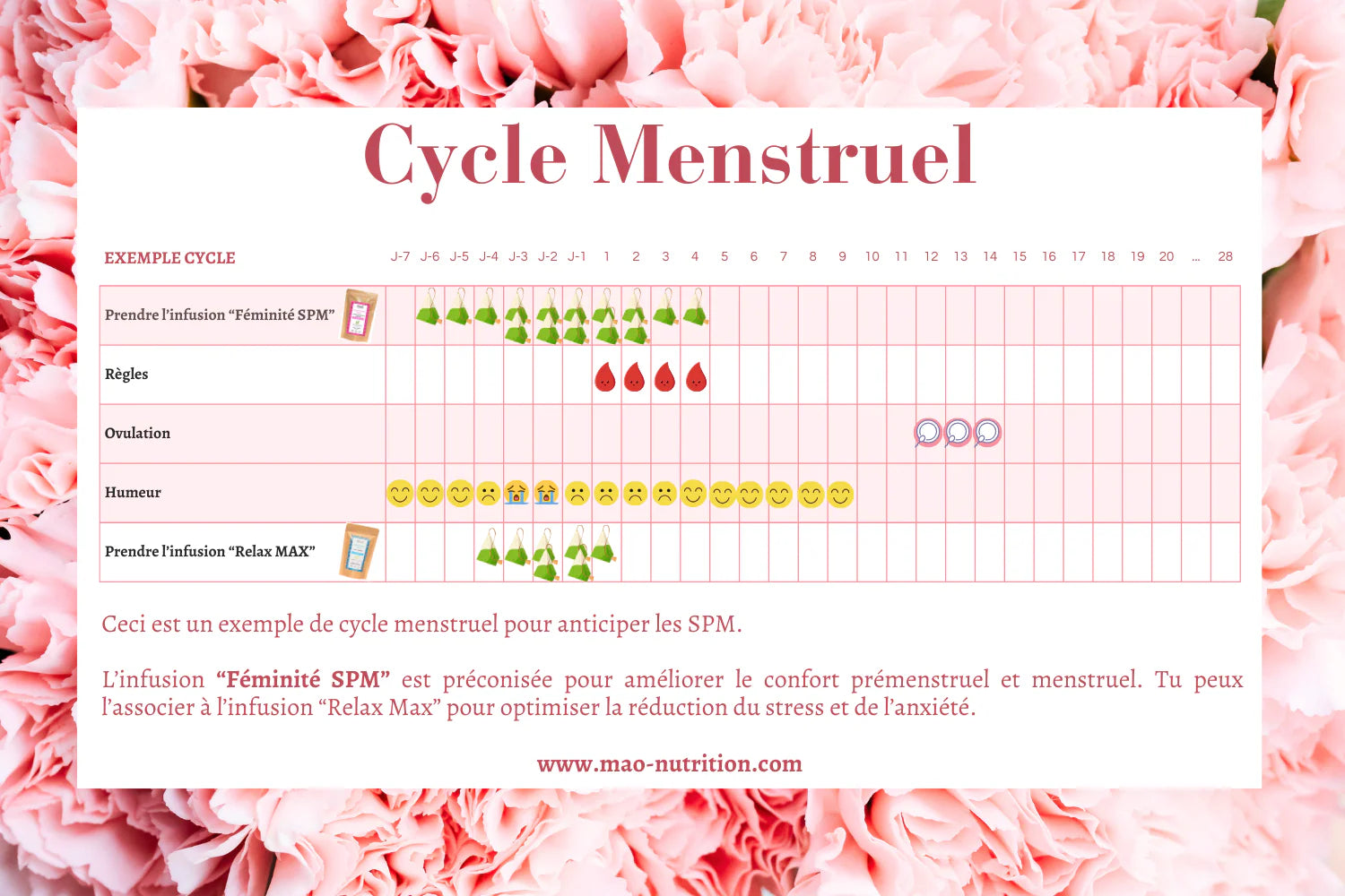 Infusion Féminité SPM 2