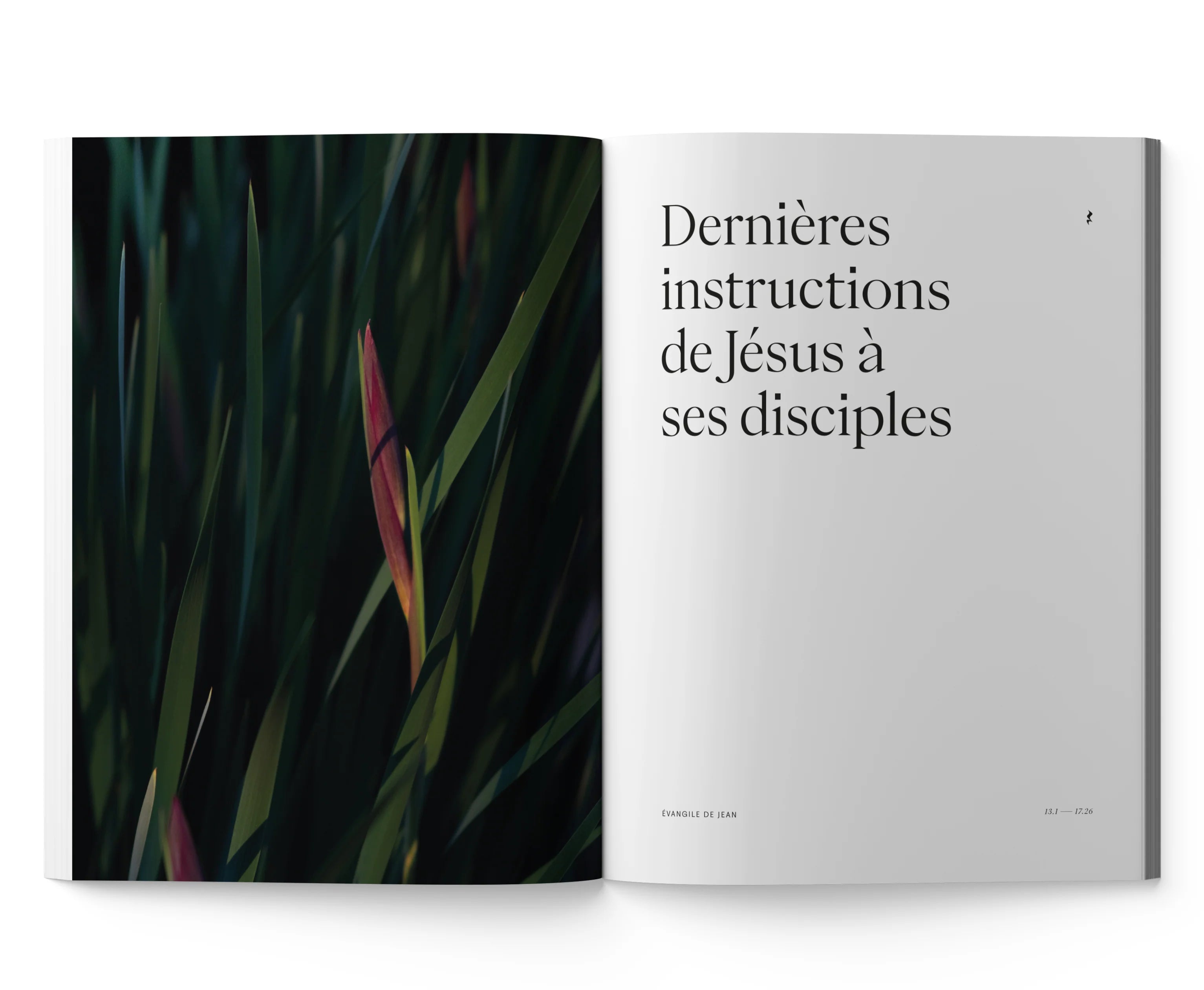 Bible Jean & Proverbes - Photographies en Haute Définition 7