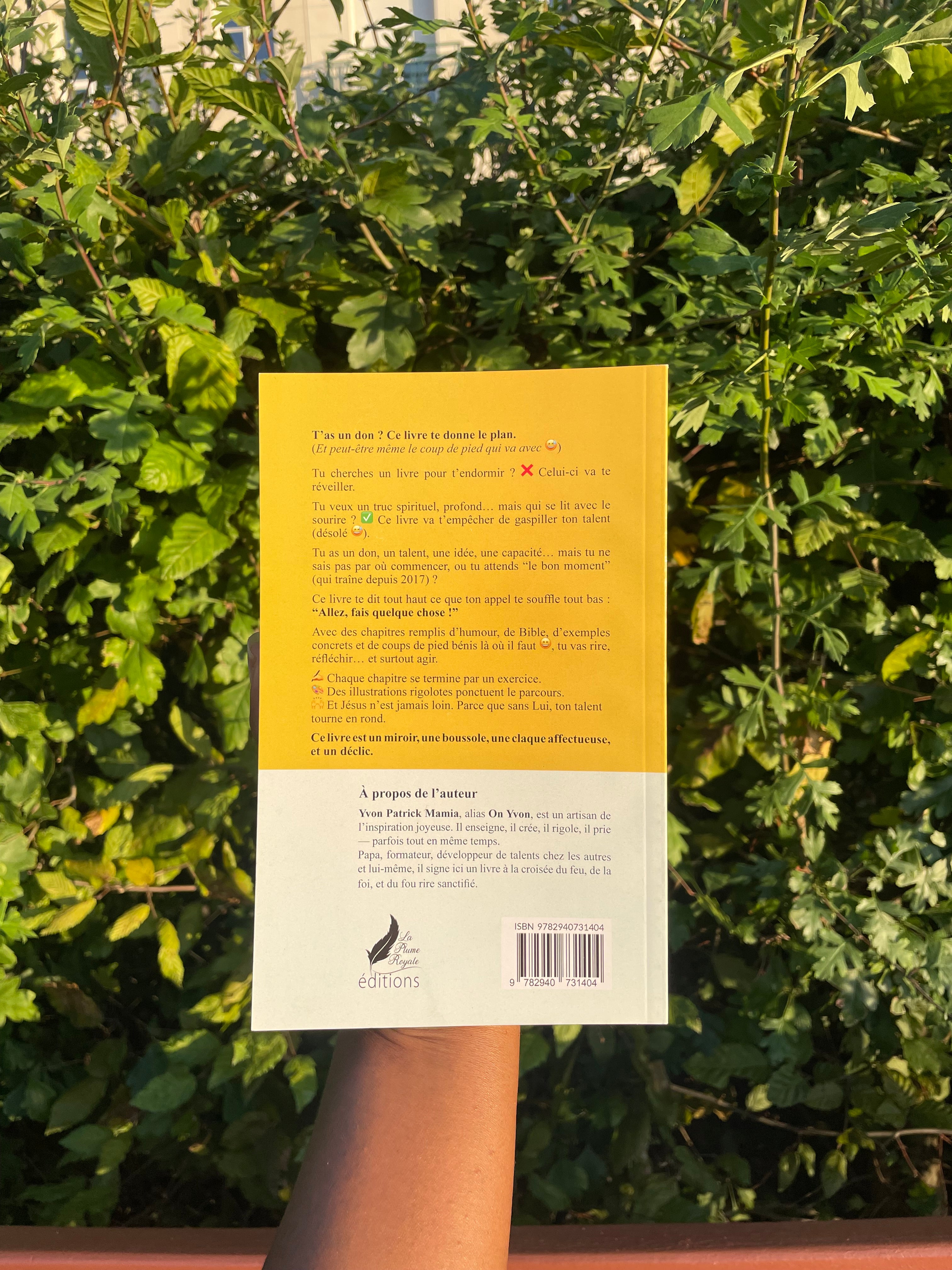 CE LIVRE VA T'EMPÊCHER DE GASPILLER TES TALENTS (DÉSOLÉ 😀)