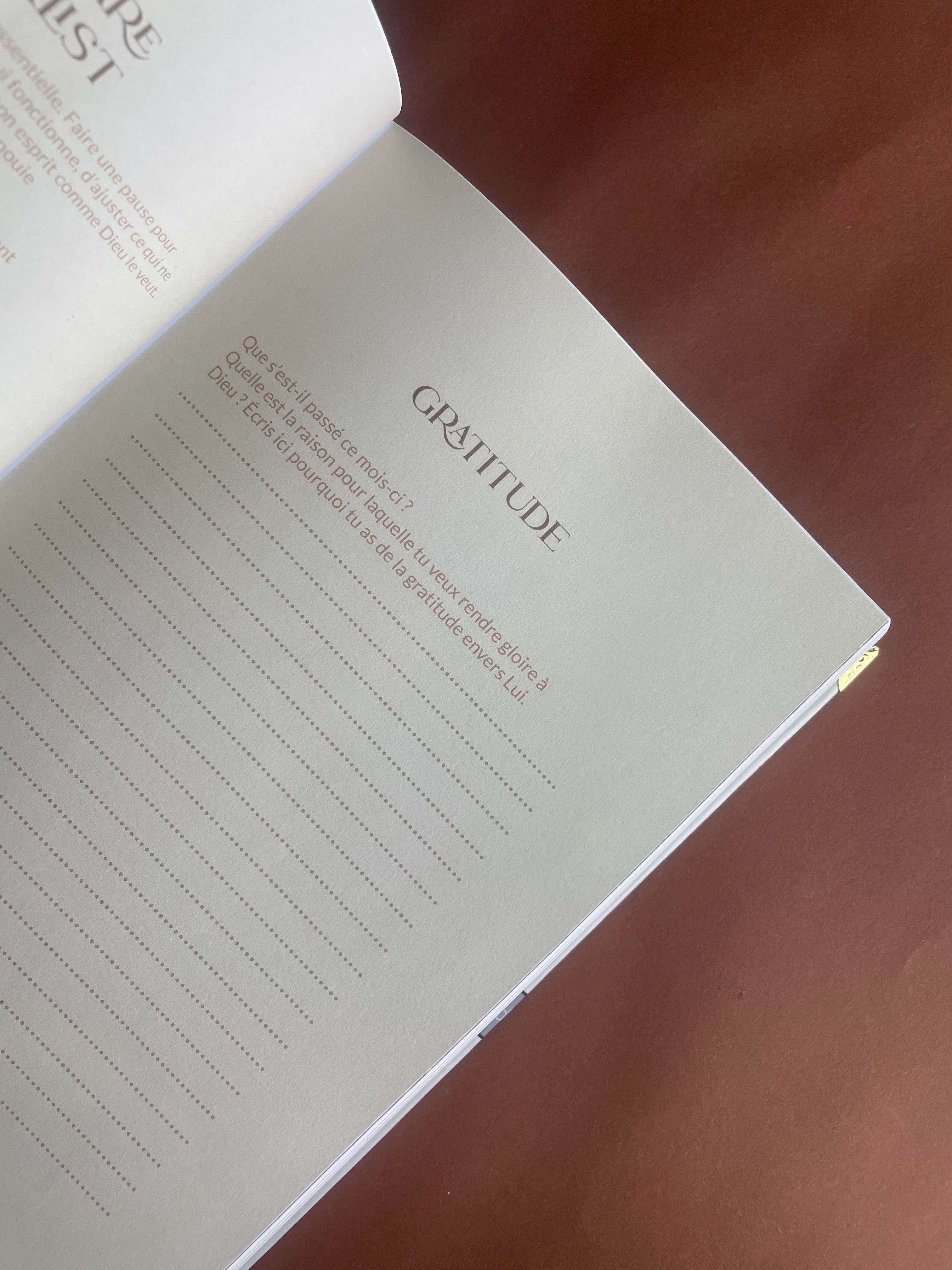 Planner Luxueuse Eclat de Foi | Version Harmonie 5