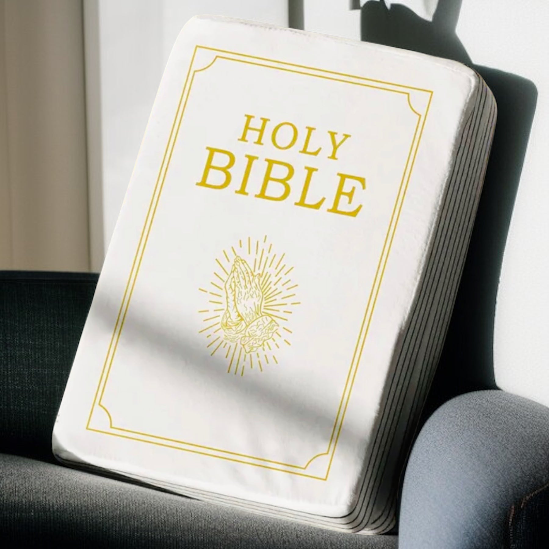 Décoratif Inspiré | Holy Bible   Peluche - Oreiller - Coussin Précieux & Confortable